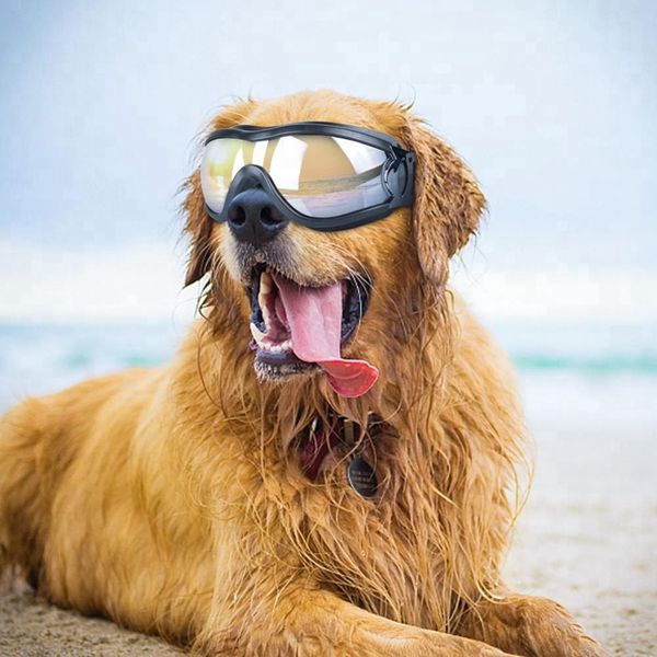 

dog waterproof anti-debris large pet goggles accessories dog sunglasses large anti-dust goggles dfhfu