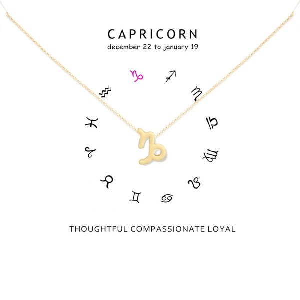 

minimalism 12 constellation capricorn necklaces for women zodiac gold sliver chains necklace valentine's gifts fashion jewelry, Silver