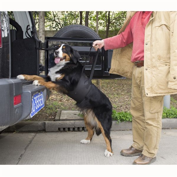 Acheter Harnais De Support Facile Dascenseur De Chien De Portage Multi De Couleurs Pour Laide Canine 664475 De 2895 Du Feiteng007 Dhgatecom