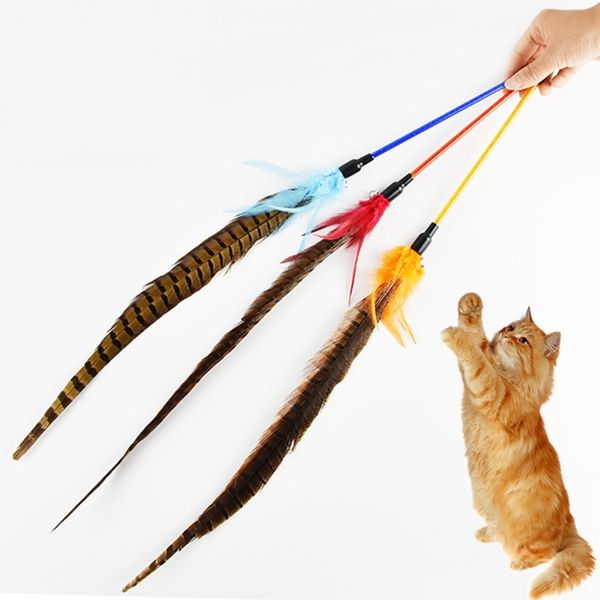 

cat interactive feather toy tease cat wand toy with long pheasant featherfor solving boredom and exercise cat chasing