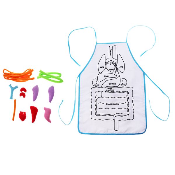 

kids anatomy apron human body organs awareness educational insights toys