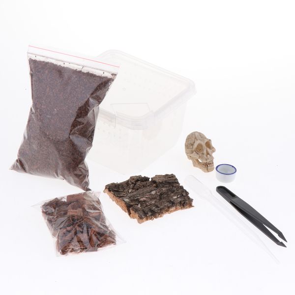 

reptiles terrariums feeding box for spider insect cricket snail frog