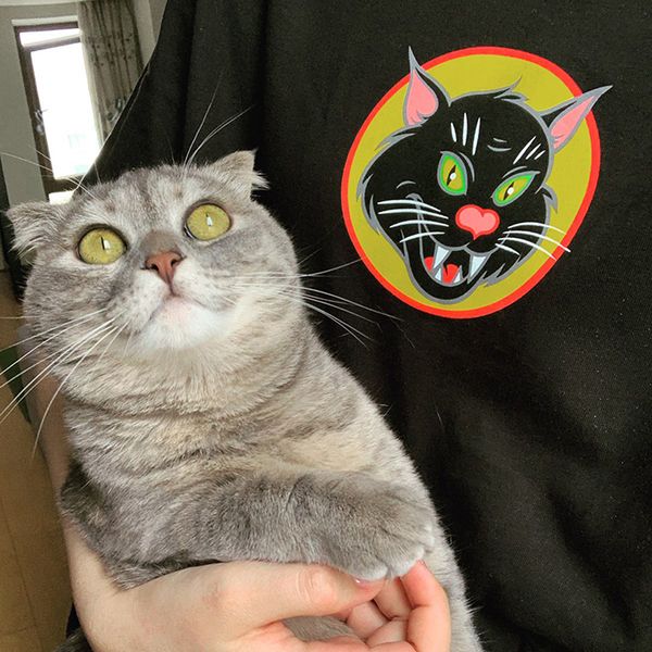 

mens t shirts black cat fashion tee 2020 summer letter print t-shirt street style tees 3 colors s m  xl, White;black