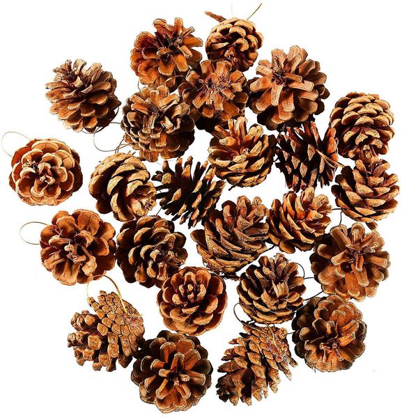 

24 pcs decorative pinecone pine cones pinecone for new year christmas tree ers vase bowl filler displays crafts home decor