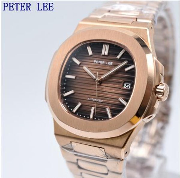 

peter lee brand luxury rose gold full stainless steel automatic mechanical watch male clocks sport watch classic men, Slivery;brown