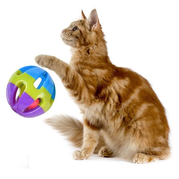 

собака 8см большой колокол 3 цвета пластиковые игрушки pet шары щенок cat teeth бал chew игрушки интерактивные продукты кинологический послу