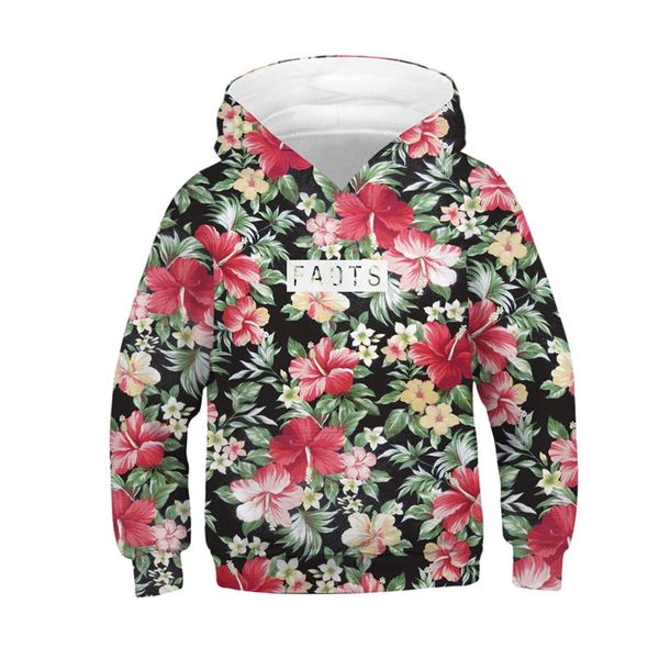 

2019 new 3d boys girls hoodies colorful lovely sweatshirt hoodies casual streetwear t-shirts autumn winter cloth, Black