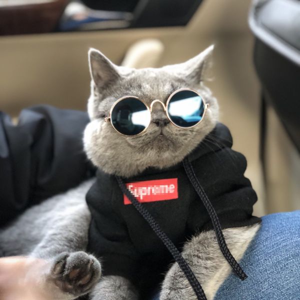 

pet одежда для собак новая мода плюс бархатная куртка с шапкой буквы печатные щенячья одежда pet cat аксессуары для собак