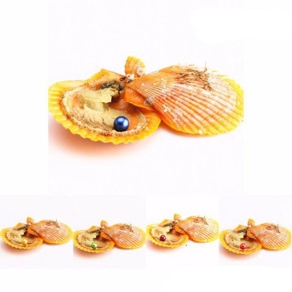 

wholesale 2019 diy 25 colors round akoya single pearl oyster 6-7mm individually wrapped, great party gift red shell mussel a0090, White