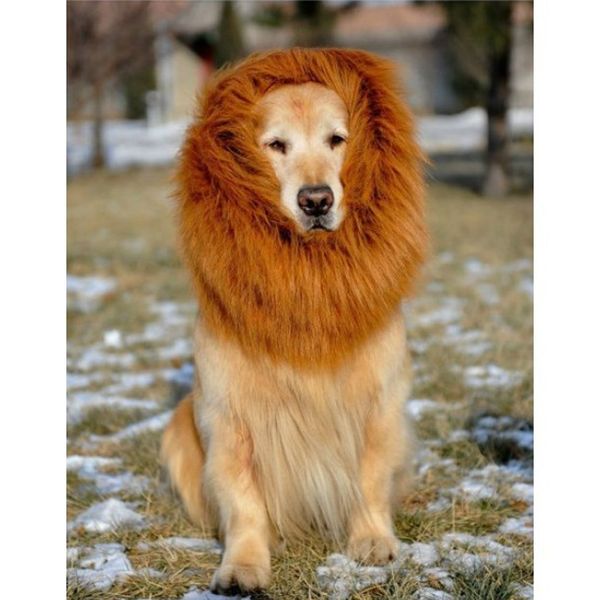 2020 Pet Costume Dog Lion Wigs Mane Hair Festival Party Fancy