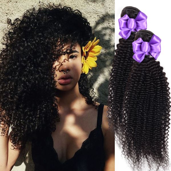 Human Hair Bundles Kinky Curly Hair Weaves Remy Malaysia Natural