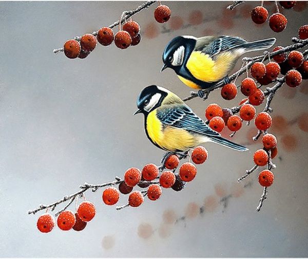 

full square/round drill 5d diy diamond painting "little bird" embroidery cross stitch mosaic home decor art experience toys gift a