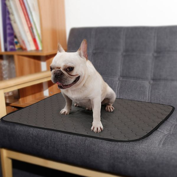 

reusable diapers for dog urine absorbent mat water absorbency diaper sleeping bed for small puppy training pad new 2020