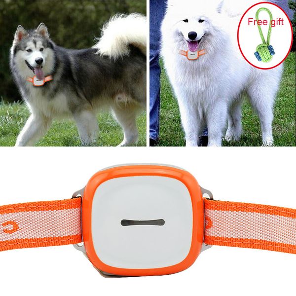 

mini pet gps tracker cat dog 2160 hours standby gsm gprs tracking locator with sos alarm system tracking device waterproof