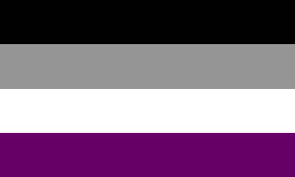 2020 150cm 90cm Asexual Pride Flag Transgender Bisexual Gay