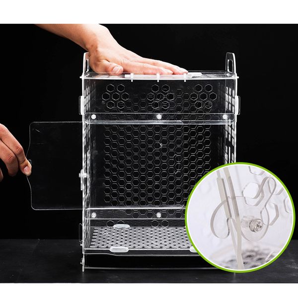 

acrylic parakeet budgie nesting house box breeding for lovebirds parrots