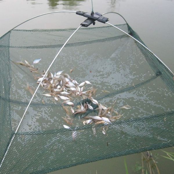 

2 sizes foldable mesh baits trap cast dip net crab shrimp smelt eel crab lobster minnows shrimp crawfish net