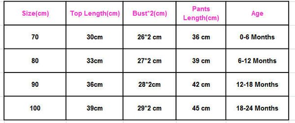 

baby clothing set fashion girl toddler kids baby girls outfits long sleeve t-shirt +pants clothes set 0-24 months, White