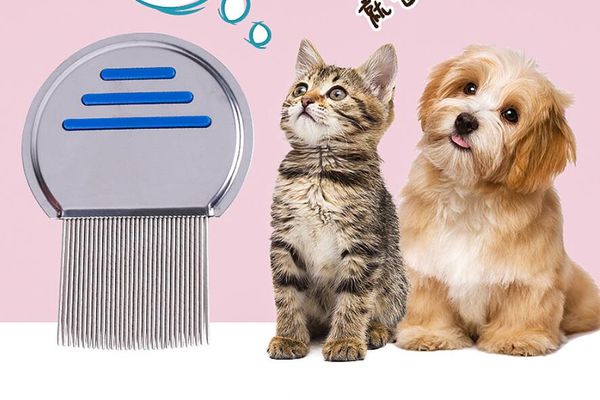 2019 Pet Flea Combs Dog Clean Comb Brush Hair Grooming Tool