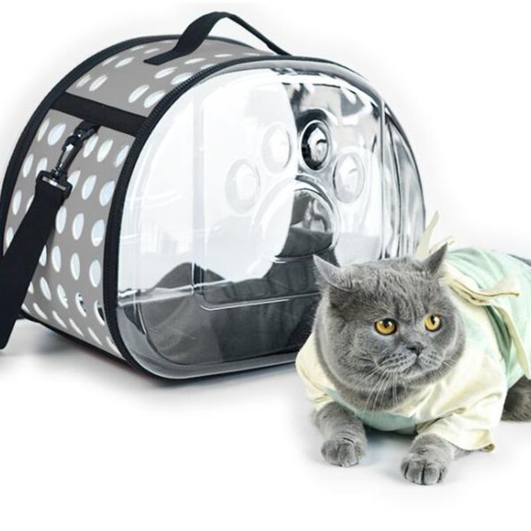 

travel oblique span dog backpack go out portable breathable spacious cat cage dog supplies pet space