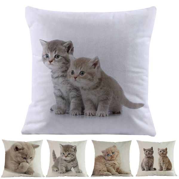 

cute small cats british short hair kitten linen short plush throw pillow case home pets store car sofa decorative cushion cover