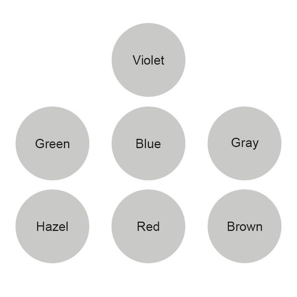 

nonno style colored contact lens box package wholesale price contact lens case