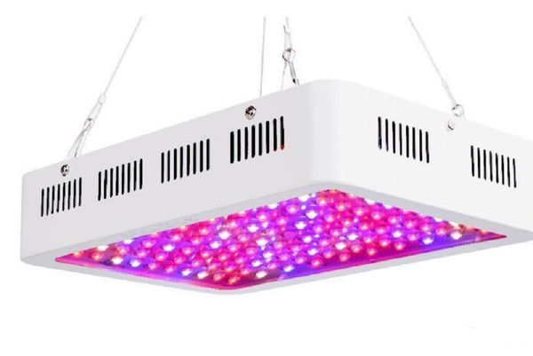 

1500w full spectrum led светать для внутреннего парникового палаточного завод вырасти светать производитель прямых продаж