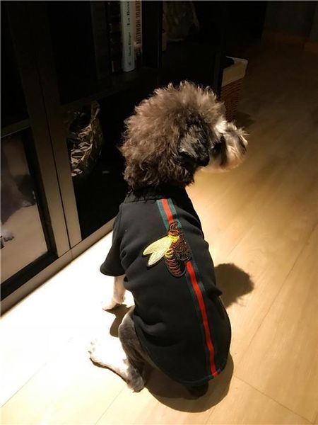 

мода собака толстовка tide newteddy шнауцеры outwear hip hop говядина печатного teddy одежда малого пес щенок фуфайка свитер одежда new ул