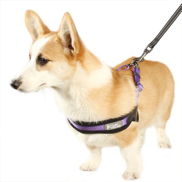 

dog with leash adjustable small medium and large pet outdoor chest strap dog supplies