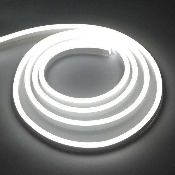 2020 220V Neon Lights RGB White Warm White Waterproof Flexible LED