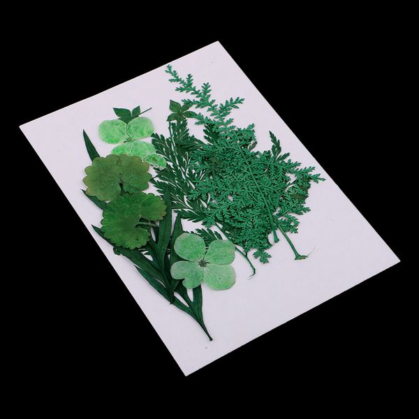 

1 pack assorted dyed real dried flower leaves for candle making decoration