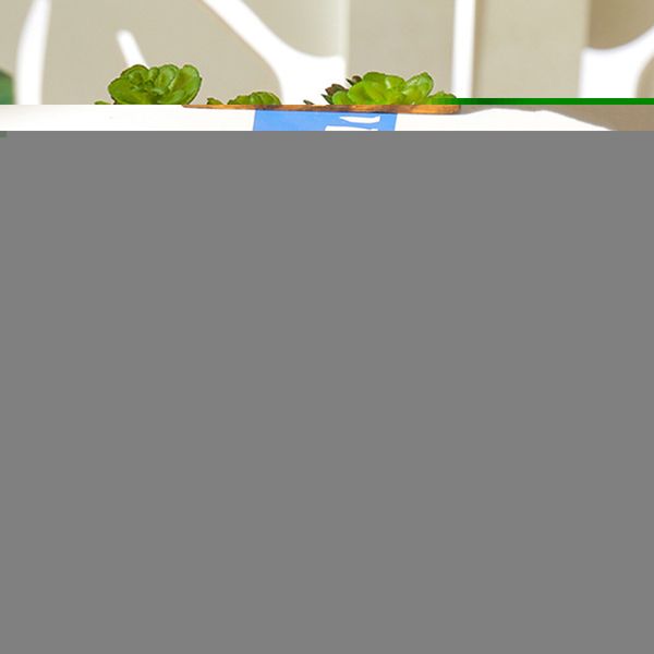 

мини искусственный герметичный сочной завод поддельный малый бонсай горшки дом декор сада