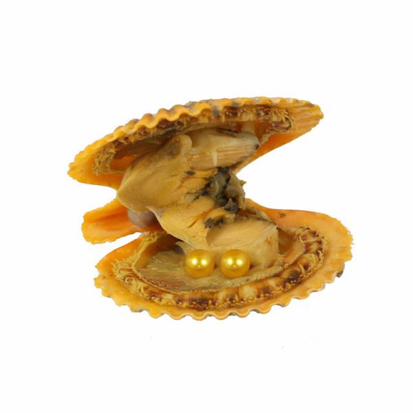 2021 DIY Naturperle 6–7 mm runde Perle in Austern, Akoya-Austernschale mit bunten Perlen, Schmuck von Red Shell, vakuumverpackt