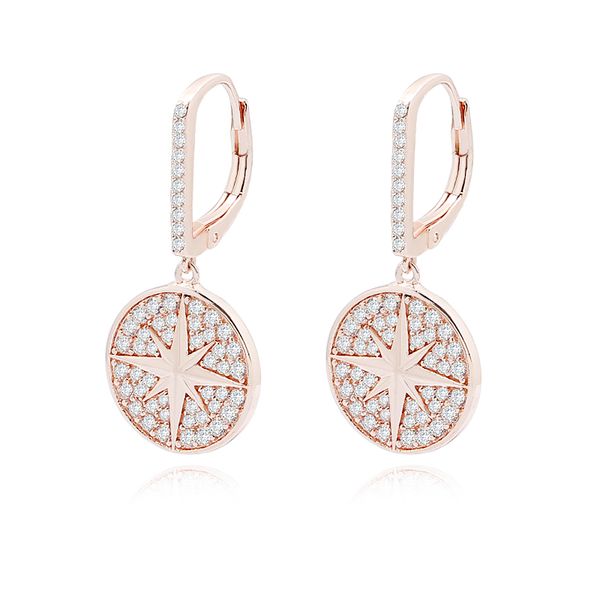 

designed for women temperament copper zircon earrings round stars rose gold color jewelry wedding jewelry, Golden;silver