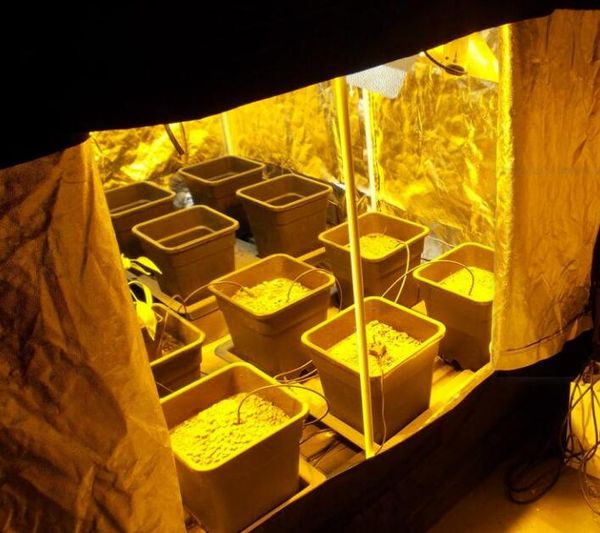 

led plant light, the first choice for planting medicinal materials tent, 100% reflective polyester film, tent growth lamp