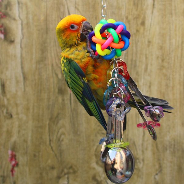 

gnaw parrot bird metal a soup spoon string toys 146g