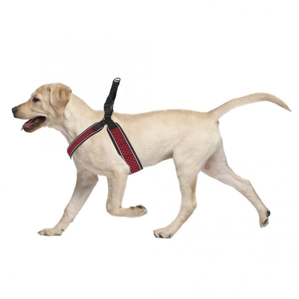 

красный цвет полиэстер светоотражающий открытый собака жгут груди обратно тяговый канат