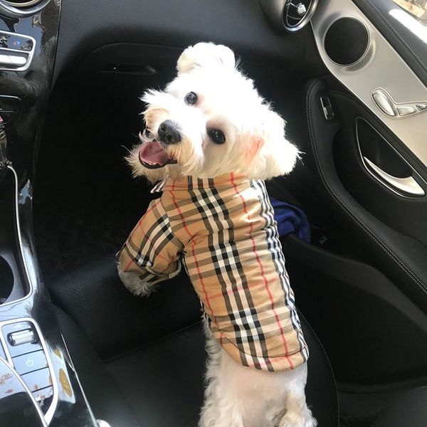 

Roupas para Cães jump_with_me