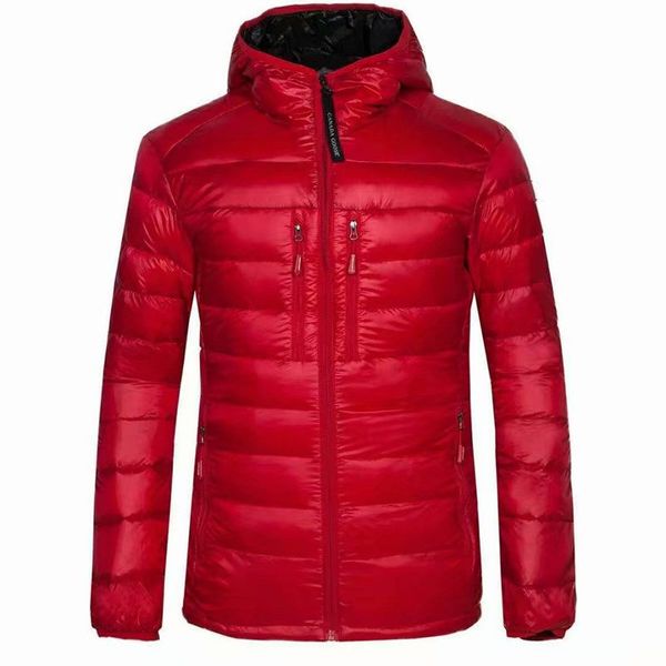 

Down e Parkas moncler352