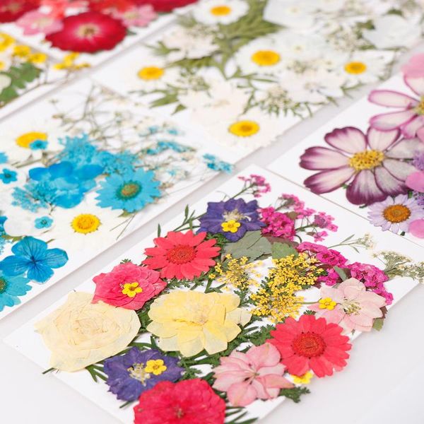 

1 bag real dried flower material dyeing flower for epoxy resin pendant necklace jewelry making craft phone case diy accessories