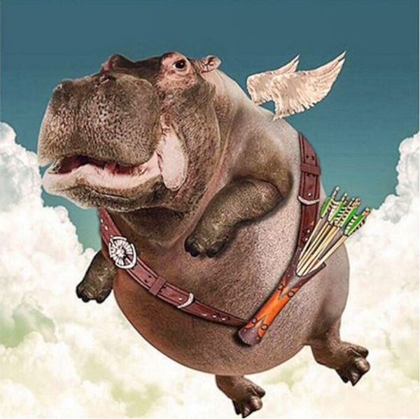 

Full Square/Round Drill 5D DIY Diamond Painting kits "hippo" cross stitch Mosaic Home Decor crafts Art Experience toys Gift A0774