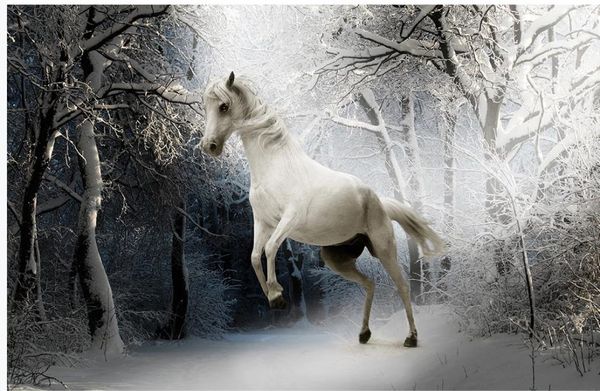 

3d landscape wallpaper snow wallpapers andscape black and white art horse wallpapers background
