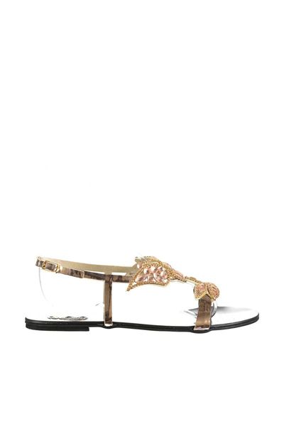 

bambi pink women sandals f0353101439, Black