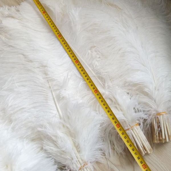 

factory price colorful 18-20 inch(45-50 cm white ostrich feather plumes for wedding centerpiece wedding party event festivel decoration z134