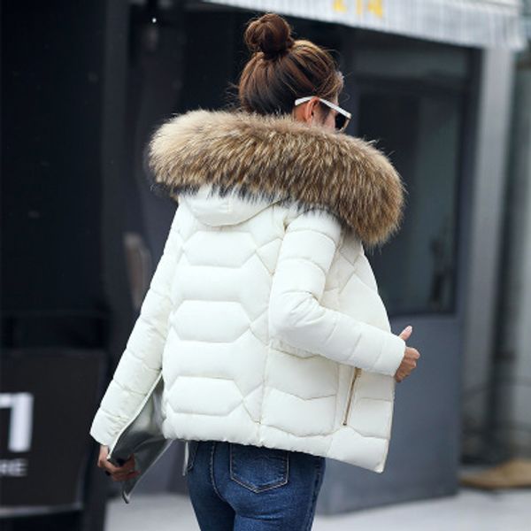 

autumn and winter women's new down cotton padded hooded big fur collar student short coat, Black