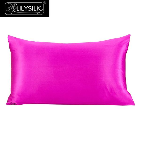 

lilysilk pillowcase hair with hidden zipper pure 100 silk 19 momme terse color for women men kids girls clearance sale pillow case