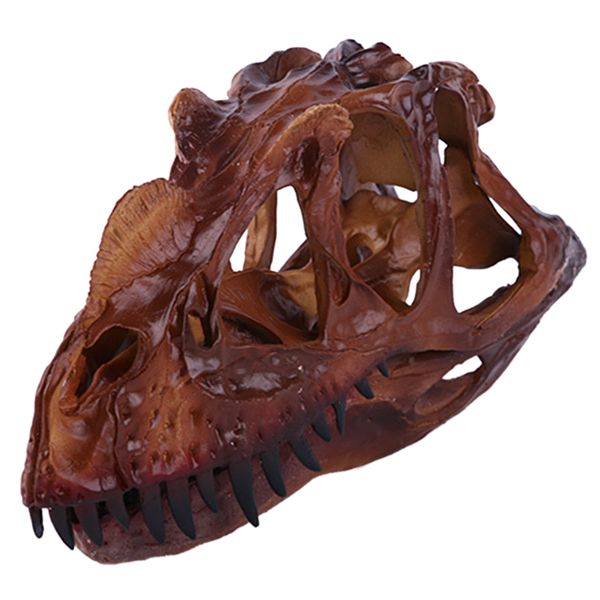 

dinosaur ceratosaurus skull replica skeleton model aquarium ornament decor