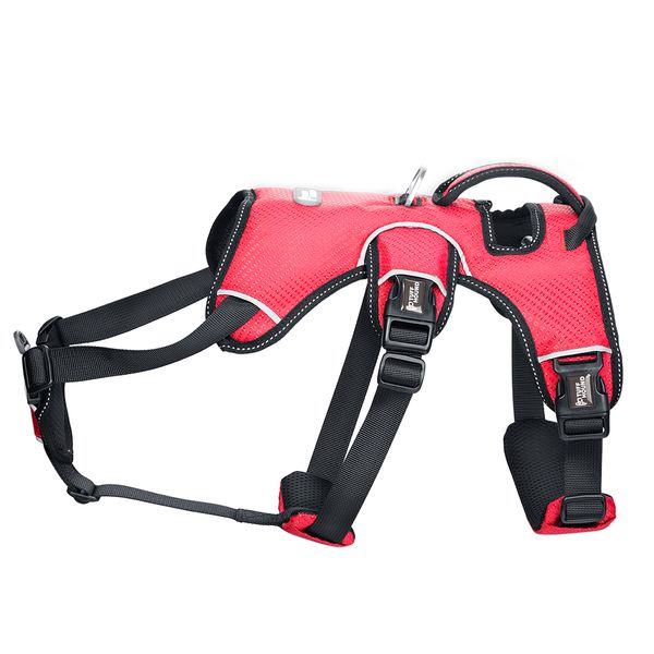 

dog chest strap with traction rope in large dog pet supplies