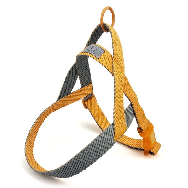 

dog collars & leashes