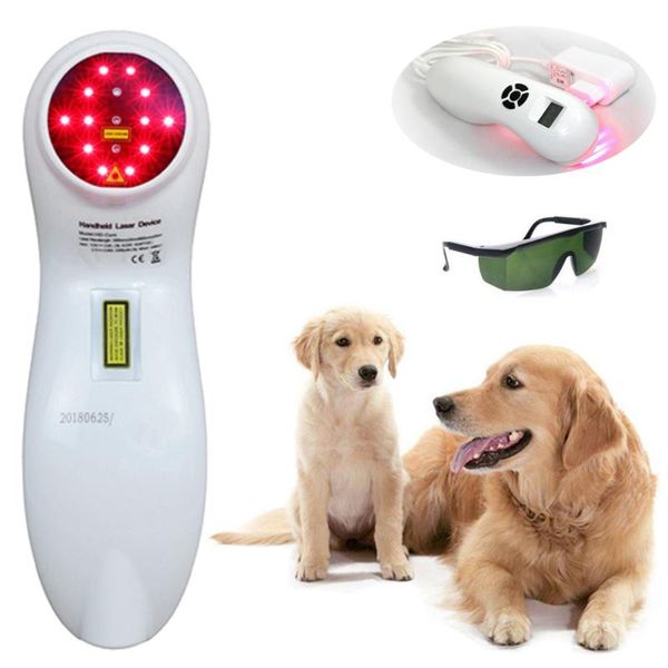 

cold laser therapy device for pain relief suitable for human and animal